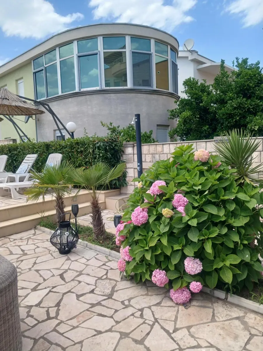 Flowers and greenery in the garden